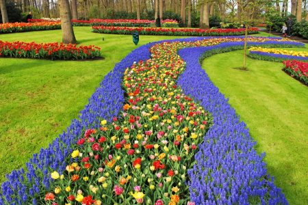 Loop door de prachtige tuinen de Keukenhof